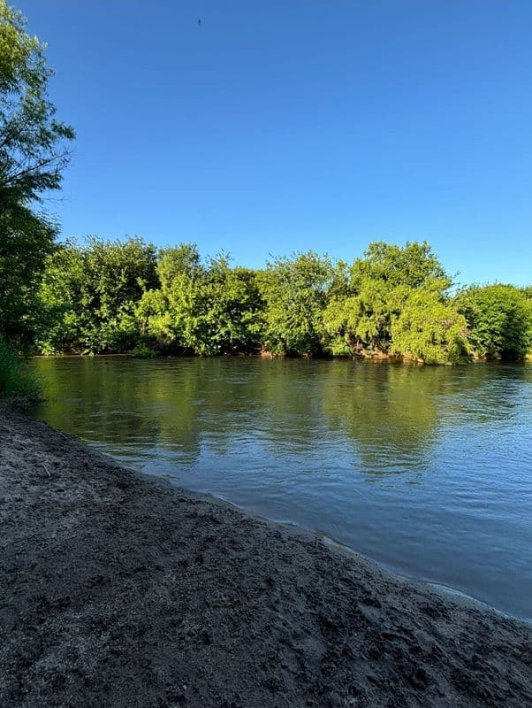 Imagen de la publicación