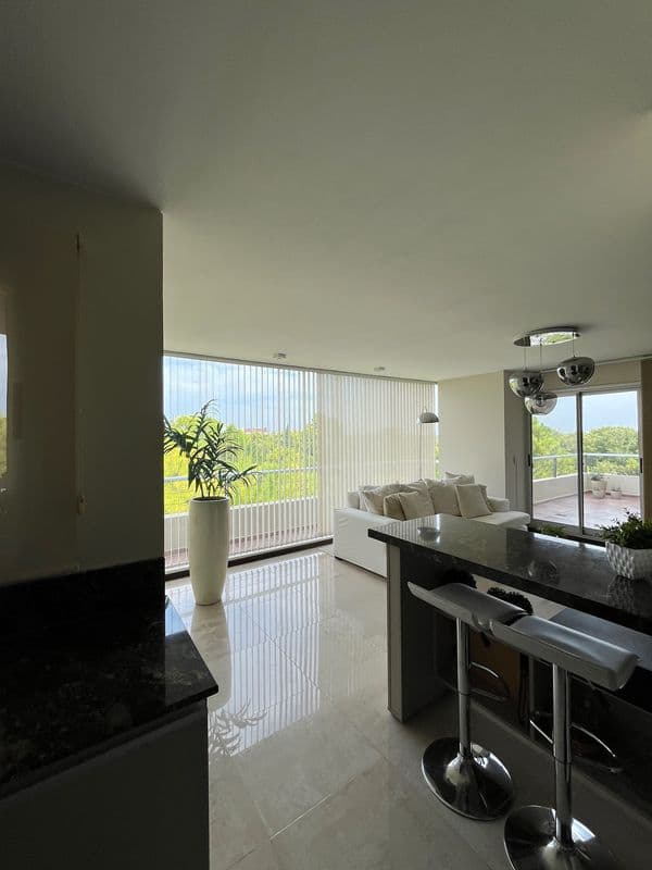 Imagen de la publicación